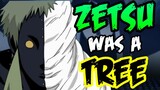 ZETSU: The Embodied Will - Naruto Discussion | Tekking101