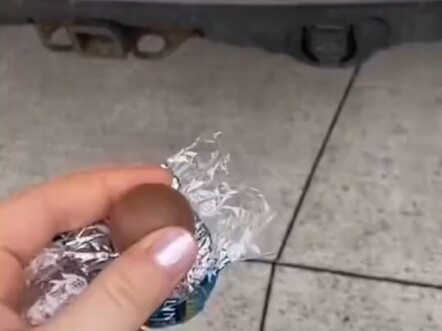 “Rahasia Anjing” — Episode Perpisahan dengan Cokelat