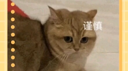 Don't be greedy and don't suffer losses, don't pick up pie in the sky and don't be fooled, one dolla