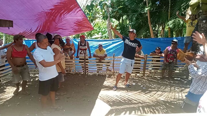 bulik bulag isang mata