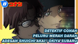 [Detektif Conan: Peluru Merah Darah] Adegan Shuichi Akai / Okiya Subaru_A8