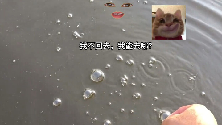 Fish: This is the day I’ve been waiting for!