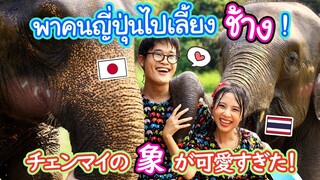 พาคนญี่ปุ่นไปเลี้ยงช้างครั้งแรกในชีวิต !? ตอนแรกกลัวมากกกก แต่สุดท้าย... !  象と遊ぶ夢が叶った！～チェンマイ～