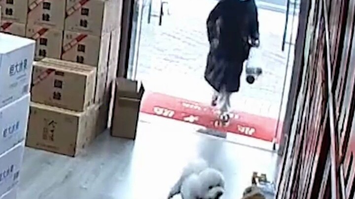 If you walk your dog off-leash, don’t blame me for disciplining your “bratty pup”!