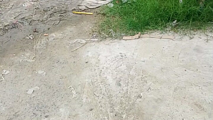 village life