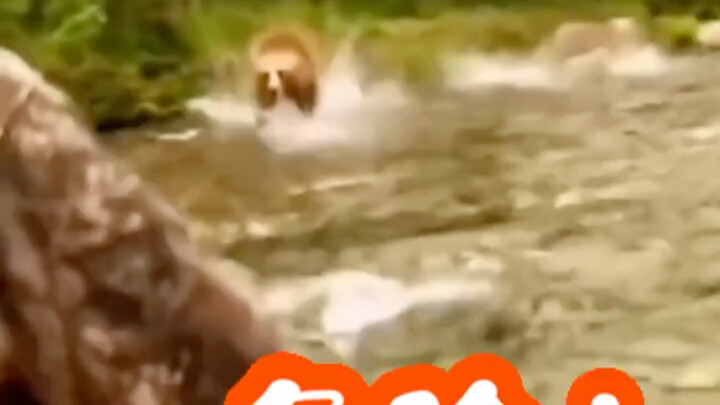 Bear: You f***ing… stay healthy.