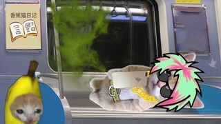 Kucing Pisang menghadapi perilaku tidak sopan di kereta bawah tanah