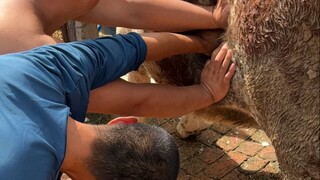 Bạn chán ăn? Hãy xem video này, đây là cách tuyệt vời để thưởng thức bữa ăn của bạn!
