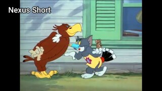 Tom & Jerry (Ep 21.3) Flirty Birdy (phần 3) #TomandJerry