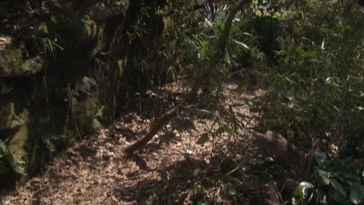 Ultraman Max Episodes 1 English Dubbed The Birth of Ultraman Max