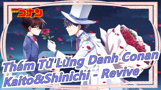 [Thám Tử Lừng Danh Conan/Mashup] Kaito&Shinichi - Revive (Mai Kuraki)