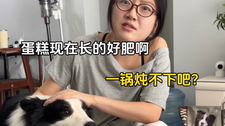 Đừng đùa với những bãi mìn này dành cho người nuôi chó!