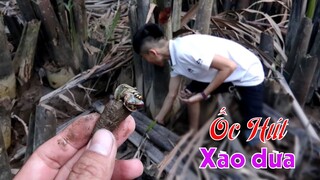 BẮT ỐC HÚT về đãi khách | Chuyện Phương Kể • Tập 46