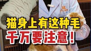 หากแมวของคุณมีขนแบบนี้ระวังให้ดี!