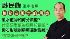 蘇民峰 • 植物在風水學上的多用途