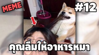 ภาพนี้ก็ฮาเหมือนกันนะเนี้ย #12 SS7 [ พากย์นรก MEME.EXE ] | easy boy