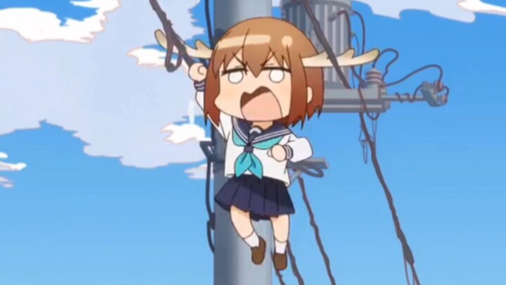 Why are you looking there?