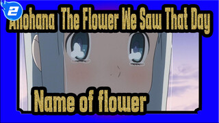 Anohana: The Flower We Saw That Day
Name of flower_2