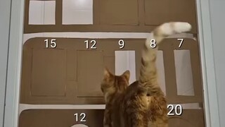 生命会自己找到出路