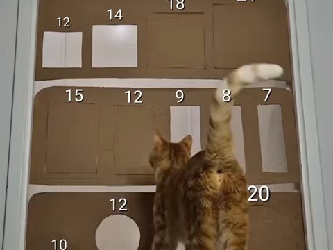 Life will always find a way.