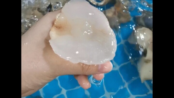 Hậu quả của việc săn bắt trên biển