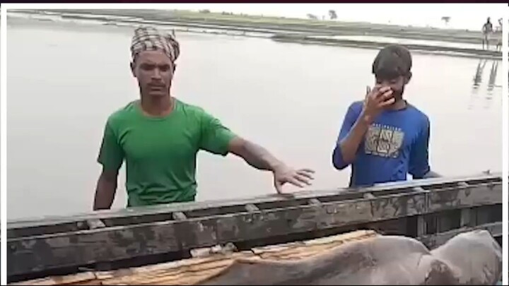 যমুনায় জেলের জালে ধরা পড়ল বিরল প্রজাতির প্রাণী