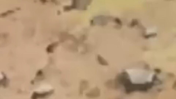 Naruto shipudden