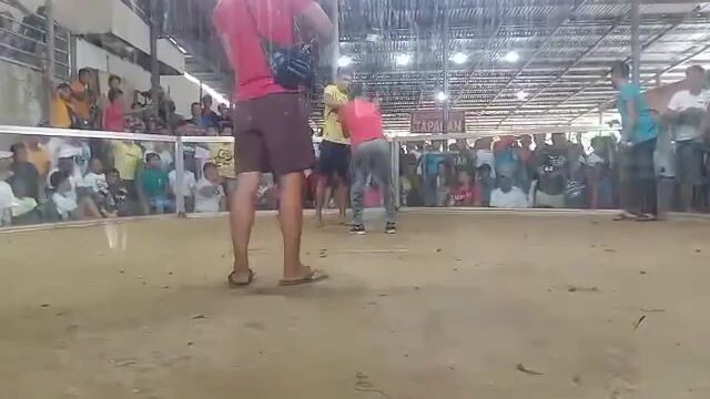 Local banded stag Radio lemon