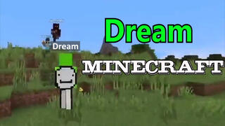 Minecraft | Imitate The Amazing Actions Of YouTuber Dream