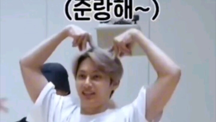 【Wen Junhui】Kucing manja bikin adik-adiknya gemas sekaligus nggak tahan