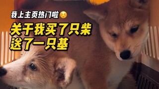 Mengenai saya yang membeli kayu bakar tapi malah dapat seorang homoseksual...