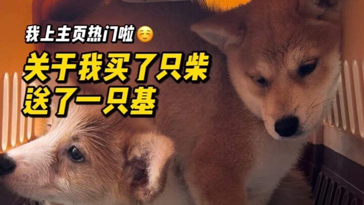 About how I bought a firewood gift but ended up receiving a queer one...