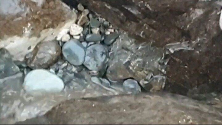 duwali fishing in Nepal |