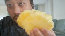 ASMR PINEAPPLE (EATING SOUNDS & RANDOM QUESTIONING)