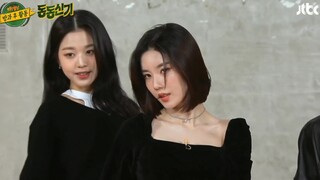 IZONE张元英+崔叡娜+权恩妃【东通神起】随机舞蹈公开
