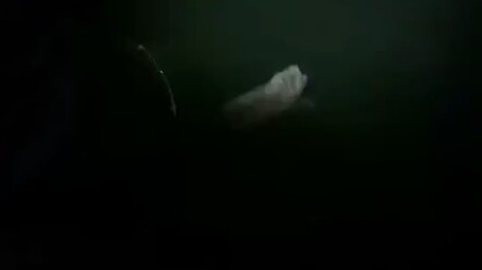 刺猬：我最讨厌钓鱼佬了