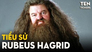 Tất Tần Tật Về Rubeus Hagrid | Harry Potter Series