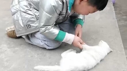 ลูกชายแสนดีของแม่จ๋า แมวที่บ้านเราตายแล้ว ลูกชายถึงกับร้องไห้หนักขนาดนี้เลย