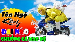 Mao Ca Hoá Thân Thành Tôn Ngộ Không Cưỡi Z1000 T R Ộ M Gà Chiến Mao Đệ Mang Đi Thịt