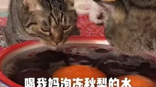 قالت الأم إنها ستمنع حملهما إلى المنزل بشكل قاطع العام المقبل