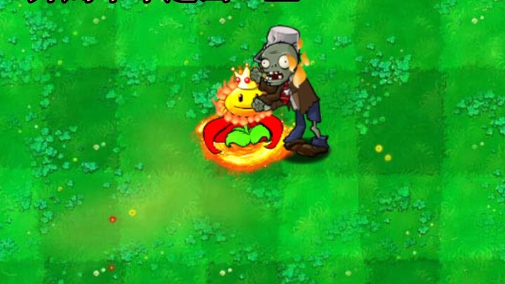 Does it look like you usually play ranked games?