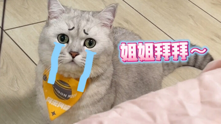 Em không phải kiểu người chỉ biết yêu đương đâu, chị ơi!