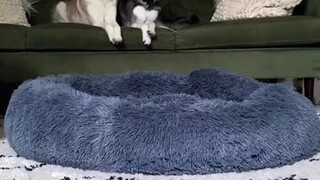 Found this in our drafts 😂