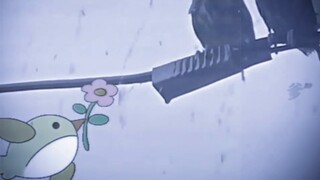 "Romansa yang hanya dimiliki oleh burung kecil"