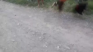 exercise