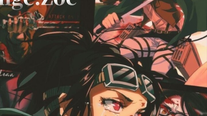 [ Attack on Titan ] Hanji Zoe: A scientist who can't fight is not a good leader