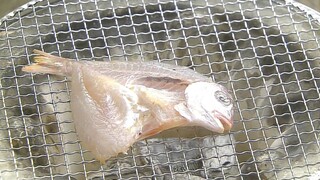 出神入化的刀工大师，鱼被切了毫无感觉，到水中还能继续畅游《料理仙姬03》