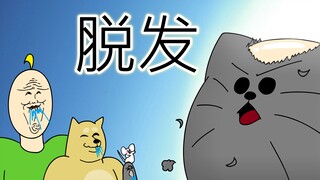 [禽兽朋友们] 脱发