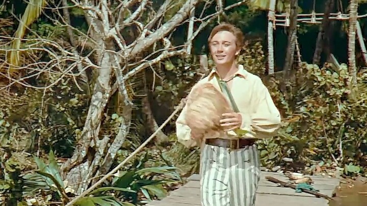 Một gia đình bị mắc kẹt trên hoang đảo, nhưng lại bất ngờ sống cuộc sống như chốn bồng lai tiên cảnh