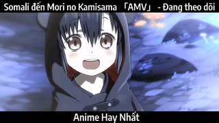 Somali đến Mori no Kamisama 「AMV」 - Đang theo dõi | Hay Nhất